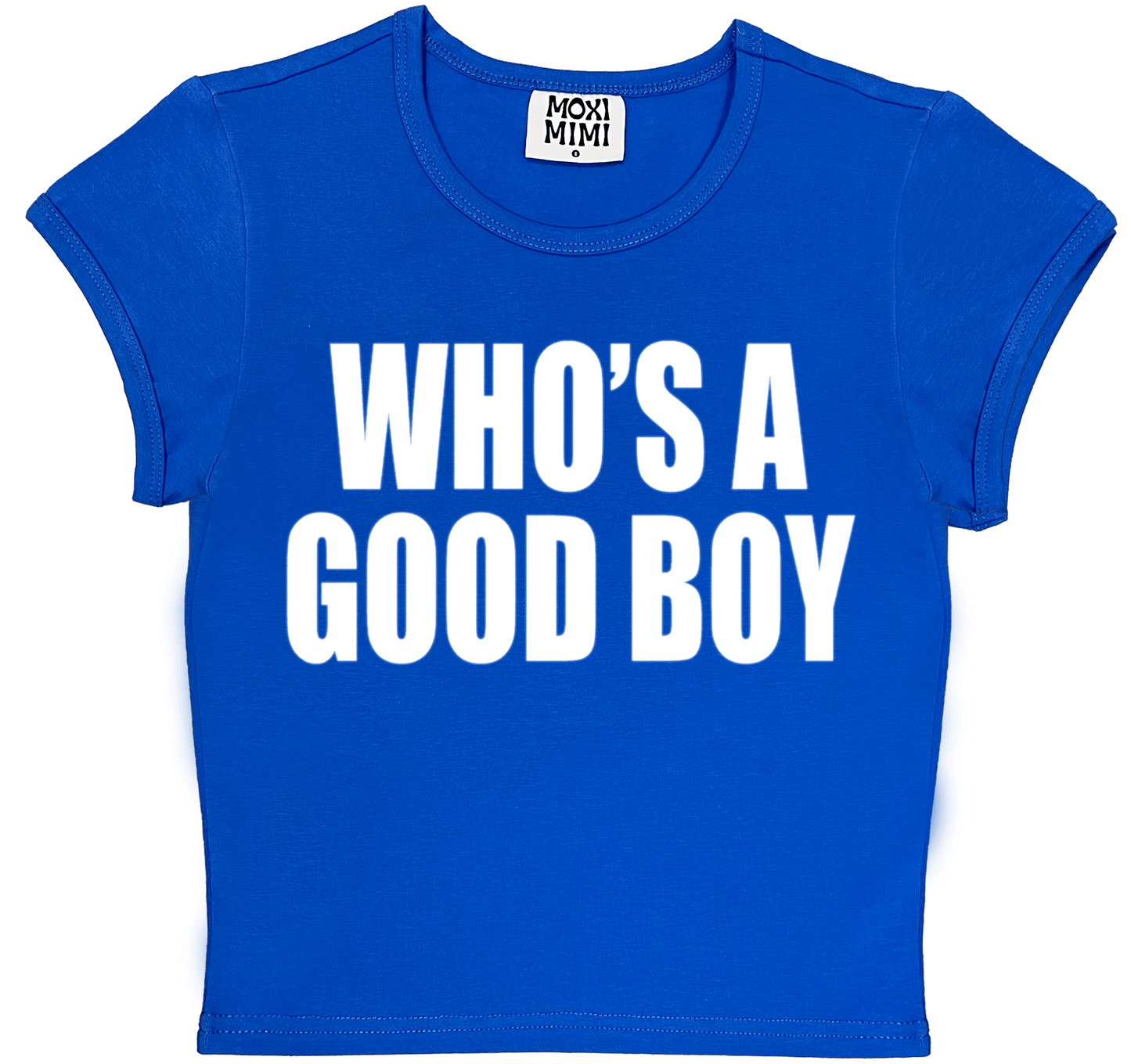 Who's A Good Boy Baby Tee in Blue